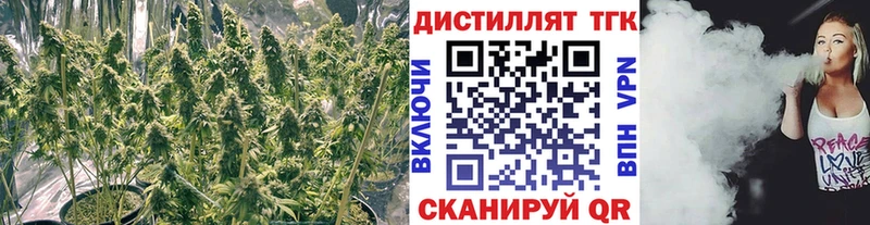 shop наркотические препараты  Урюпинск  Дистиллят ТГК вейп 