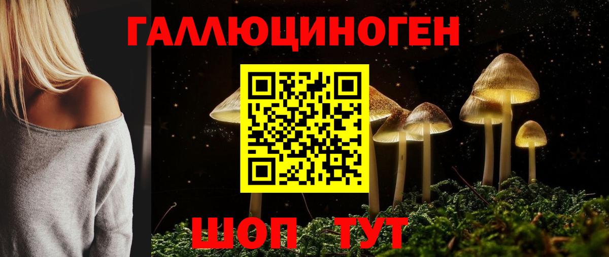 Урюпинск  Псилоцибиновые грибы прущие грибы  как найти наркотики  Вход с VPN 